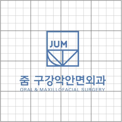 줌 CI